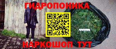 экстази Аргун