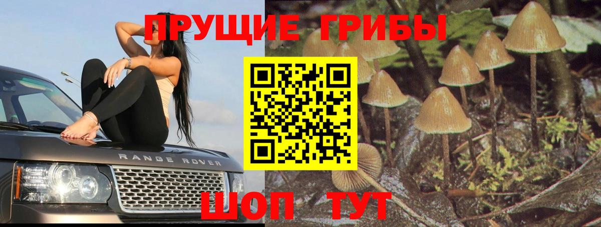 сколько стоит  Галлюциногенные грибы Psilocybine cubensis  Вход с VPN  Владивосток 